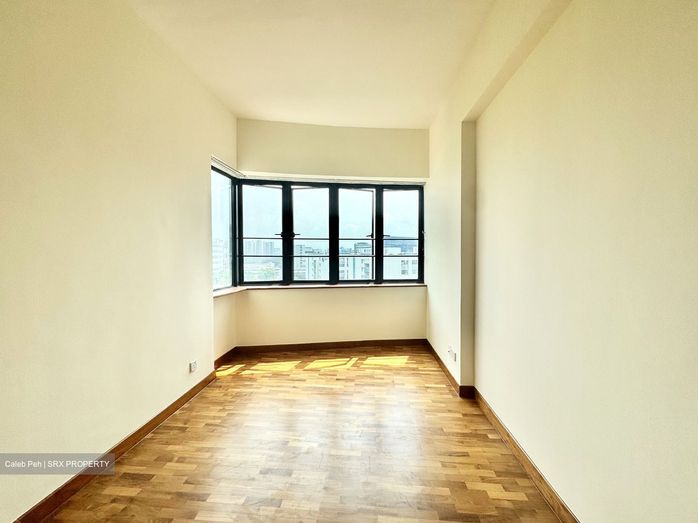 Simsville (D14), Condominium #583387231